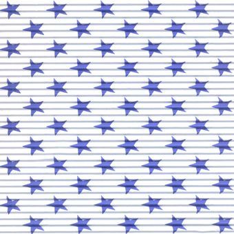 Papel Micro-Ondulado 50 x 80 cm Branco estrelinha azul
